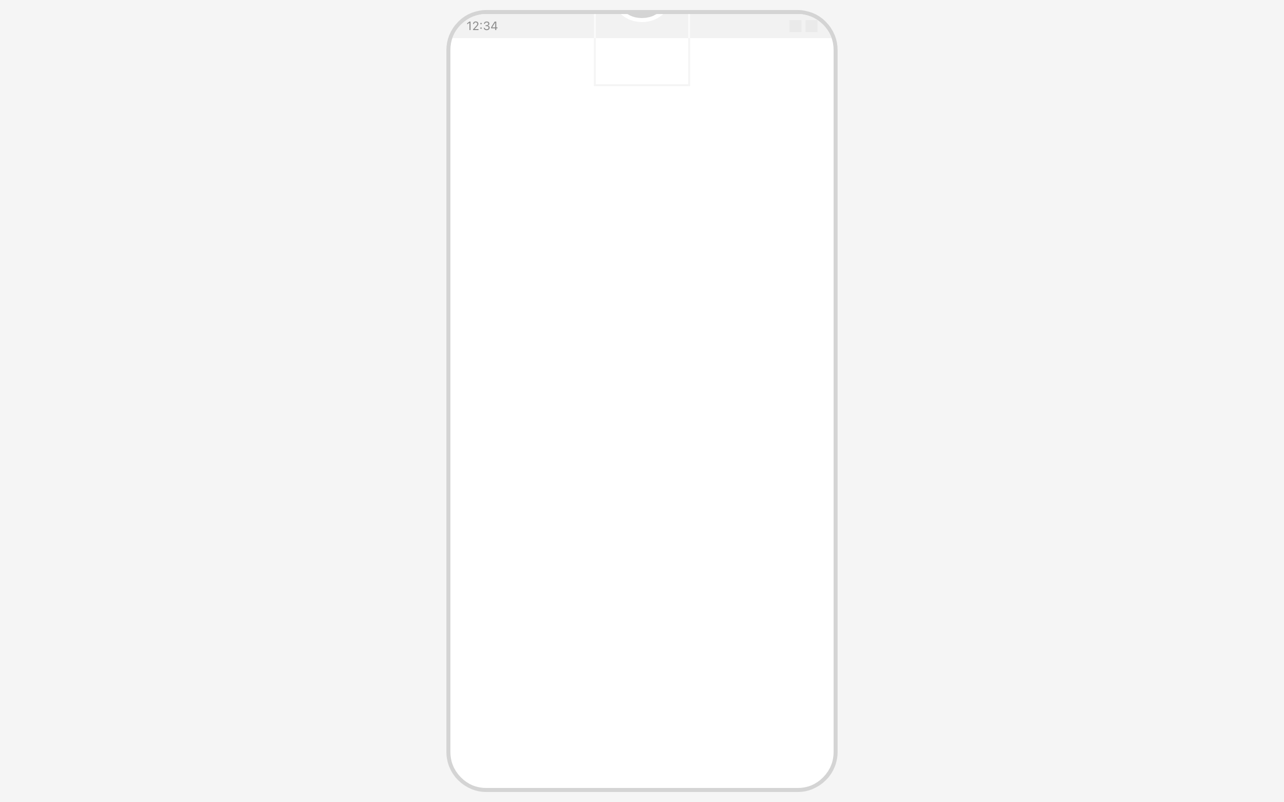 Wireframe example for Camera Capture Overlay