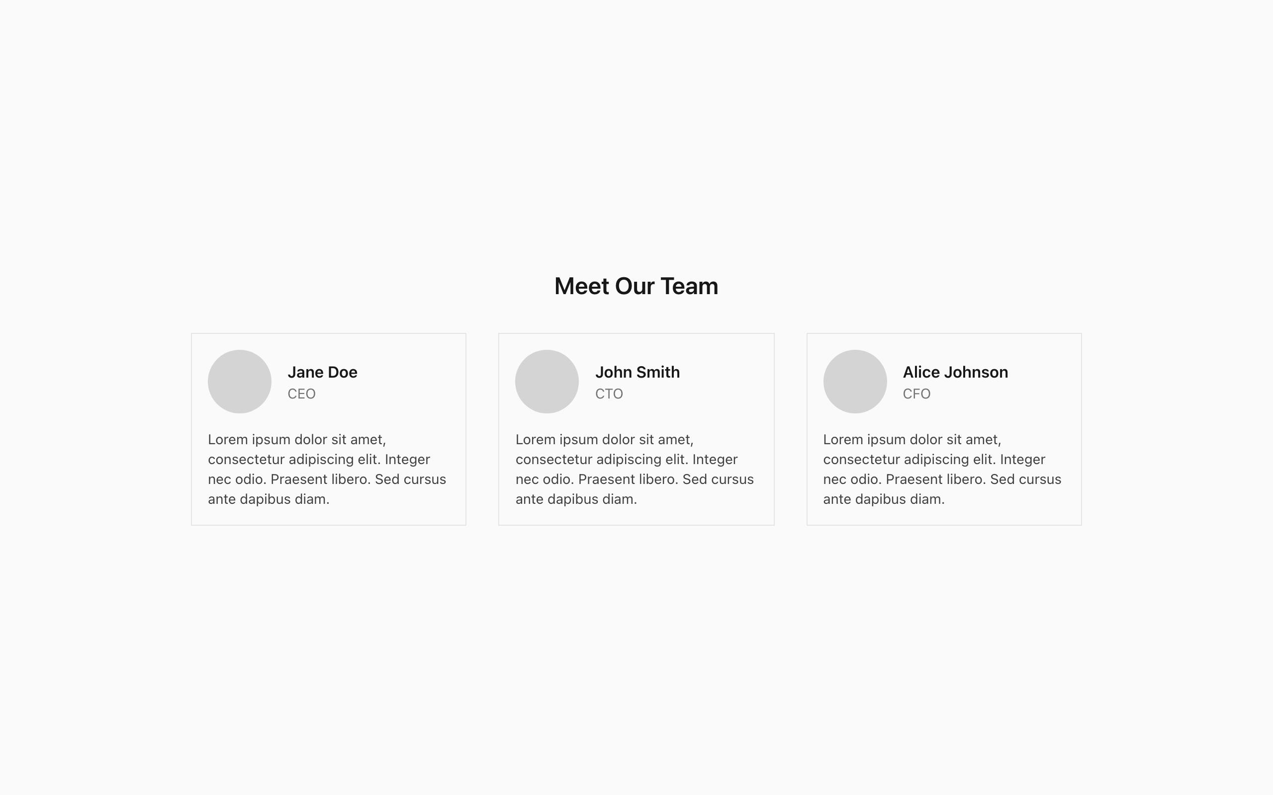 Wireframe example for Team Section